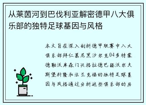 从莱茵河到巴伐利亚解密德甲八大俱乐部的独特足球基因与风格