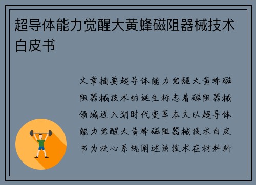 超导体能力觉醒大黄蜂磁阻器械技术白皮书